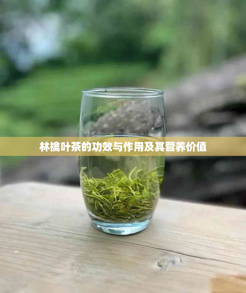 林擒叶茶的功效与作用及其营养价值