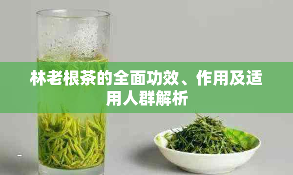 林老根茶的全面功效、作用及适用人群解析