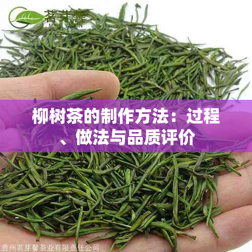 柳树茶的制作方法：过程、做法与品质评价