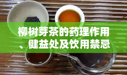 柳树芽茶的理作用、健益处及饮用禁忌：一份详尽指南