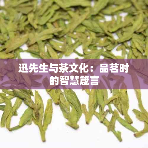 迅先生与茶文化：品茗时的智慧箴言