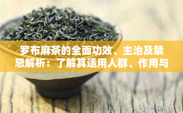 罗布麻茶的全面功效、主治及禁忌解析：了解其适用人群、作用与注意事项