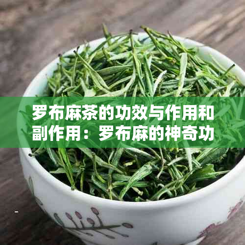 罗布麻茶的功效与作用和副作用：罗布麻的神奇功效、作用及注意事项