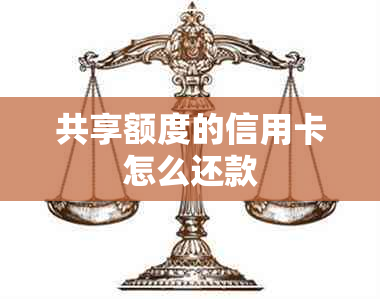 共享额度的信用卡怎么还款