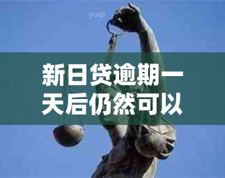 新日贷逾期一天后仍然可以成功放款吗？了解逾期影响和解决方案