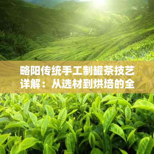 略阳传统手工制罐茶技艺详解：从选材到烘培的全流程