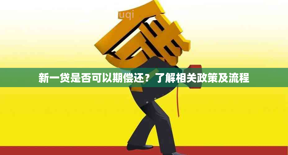 新一贷是否可以期偿还？了解相关政策及流程