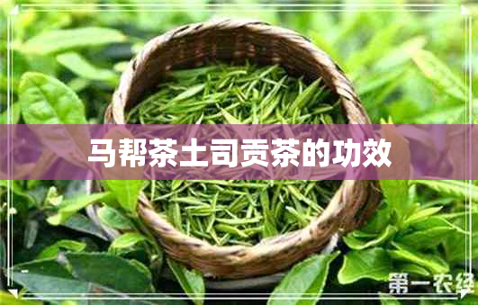 马帮茶土司贡茶的功效