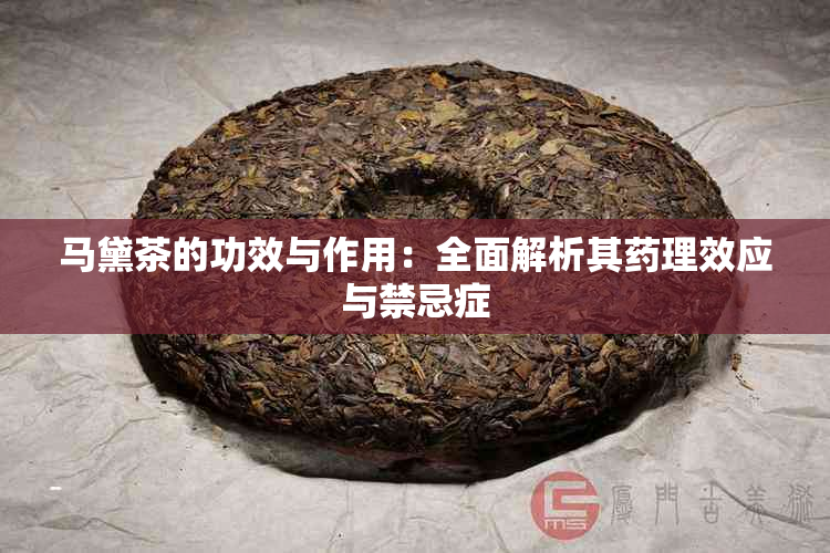 马黛茶的功效与作用：全面解析其理效应与禁忌症