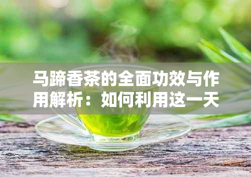 马蹄香茶的全面功效与作用解析：如何利用这一天然饮品改善健和生活质量