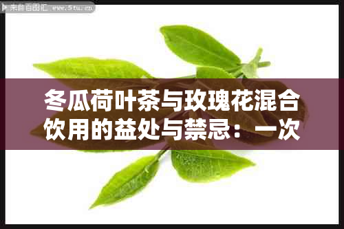 冬瓜荷叶茶与玫瑰花混合饮用的益处与禁忌：一次全面解读