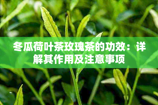 冬瓜荷叶茶玫瑰茶的功效：详解其作用及注意事项