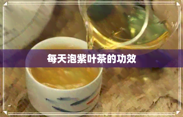 每天泡紫叶茶的功效