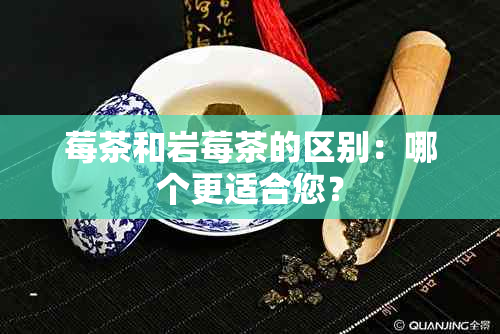 莓茶和岩莓茶的区别：哪个更适合您？