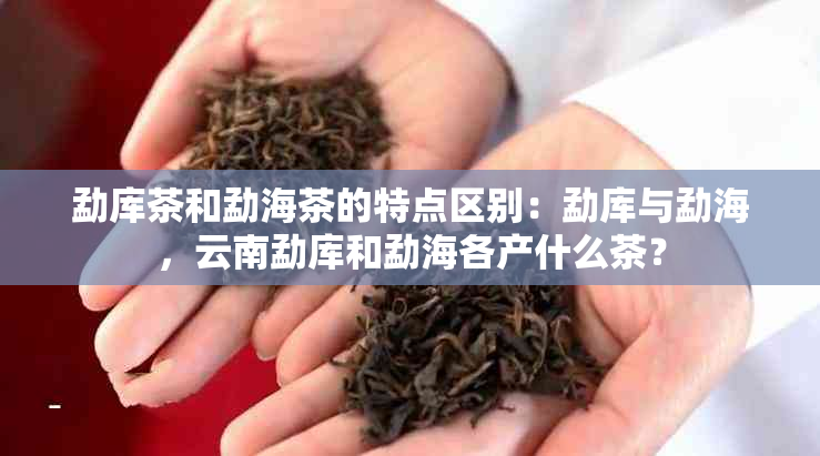 勐库茶和勐海茶的特点区别：勐库与勐海，云南勐库和勐海各产什么茶？