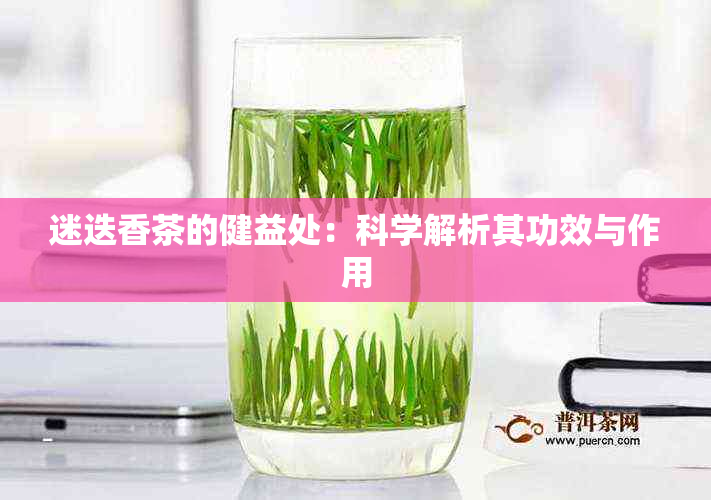 迷迭香茶的健益处：科学解析其功效与作用