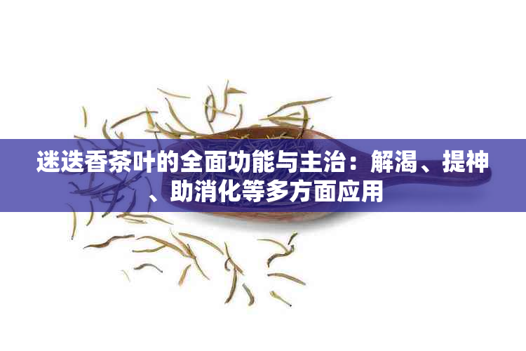 迷迭香茶叶的全面功能与主治：解渴、提神、助消化等多方面应用