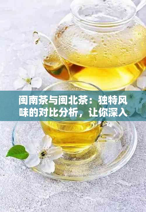 闽南茶与闽北茶：独特风味的对比分析，让你深入了解茶叶的地域差异