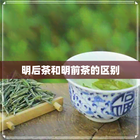 明后茶和明前茶的区别