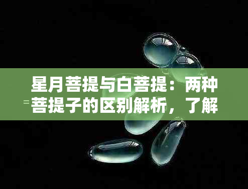 星月菩提与白菩提：两种菩提子的区别解析，了解它们的独特价值与用途