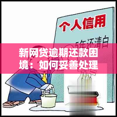 新网贷逾期还款困境：如何妥善处理以避免损失？