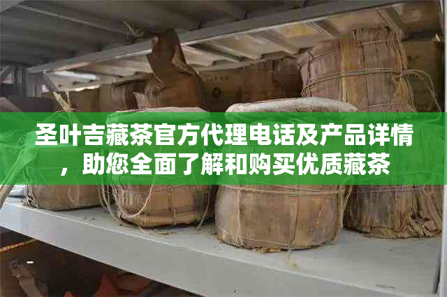 圣叶吉藏茶官方代理电话及产品详情，助您全面了解和购买优质藏茶