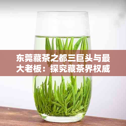 东莞藏茶之都三巨头与更大老板：探究藏茶界权威与领导地位