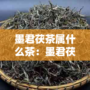 墨君茯茶属什么茶：墨君茯茶的官方网站、价格与茶类、茶种和茶系列解析