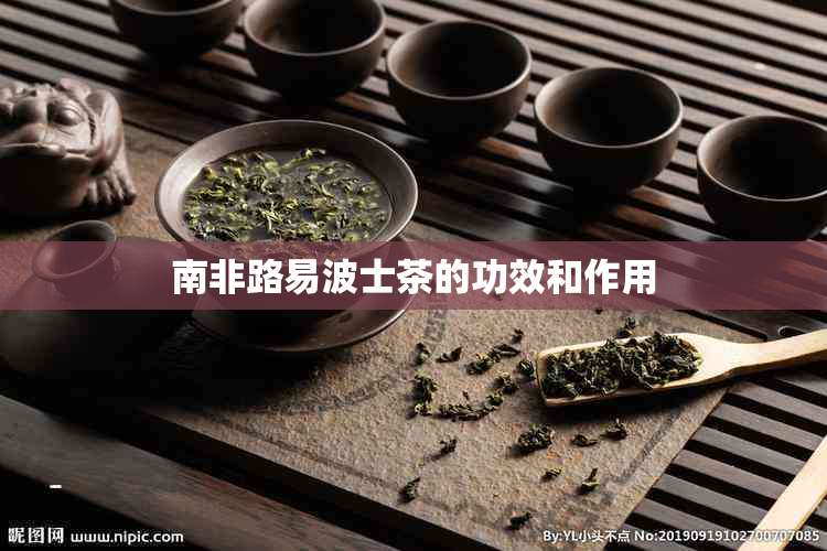 南非路易波士茶的功效和作用