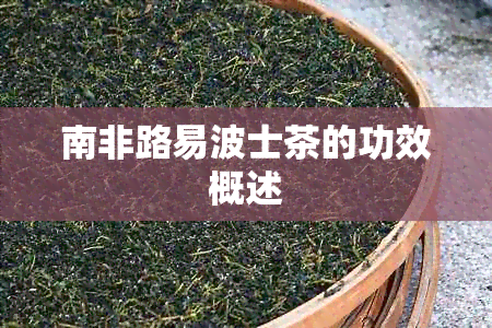 南非路易波士茶的功效概述