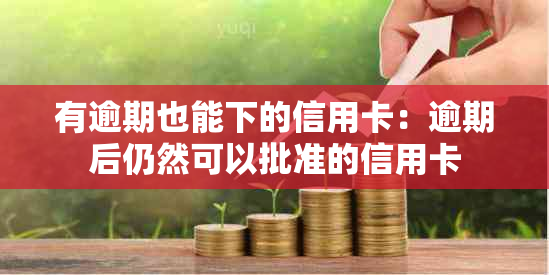 有逾期也能下的信用卡：逾期后仍然可以批准的信用卡