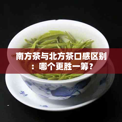 南方茶与北方茶口感区别：哪个更胜一筹？