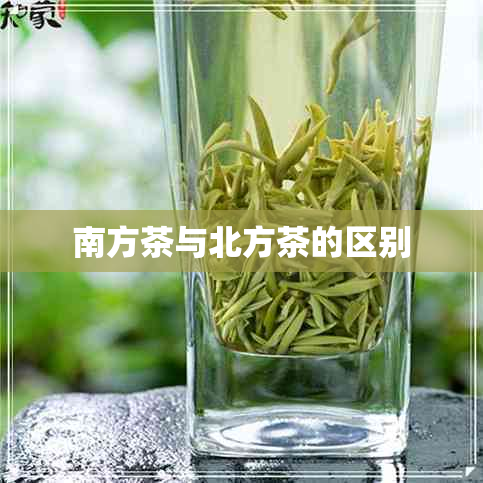 南方茶与北方茶的区别