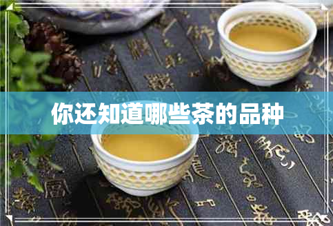 你还知道哪些茶的品种