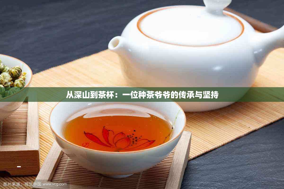 从深山到茶杯：一位种茶爷爷的传承与坚持