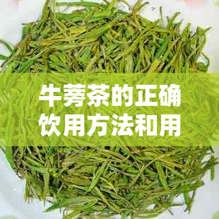 牛蒡茶的正确饮用方法和用量：如何科学饮用牛蒡茶以达到效果