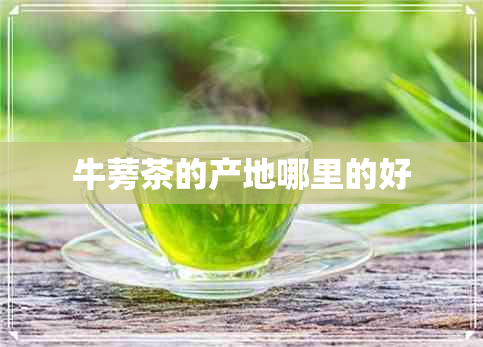 牛蒡茶的产地哪里的好