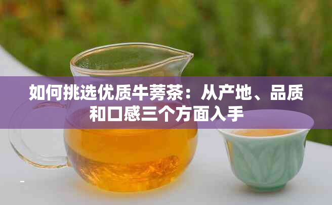 如何挑选优质牛蒡茶：从产地、品质和口感三个方面入手