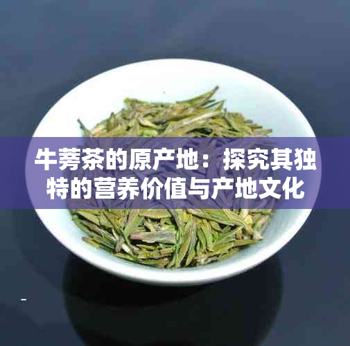 牛蒡茶的原产地：探究其独特的营养价值与产地文化