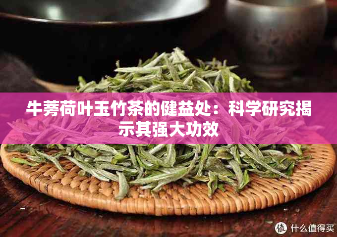 牛蒡荷叶玉竹茶的健益处：科学研究揭示其强大功效