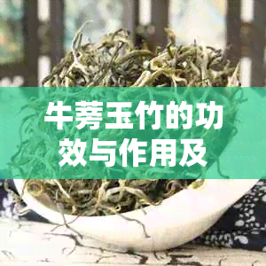 牛蒡玉竹的功效与作用及禁忌：详解这种草的奇妙效用