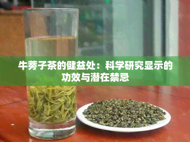 牛蒡子茶的健益处：科学研究显示的功效与潜在禁忌