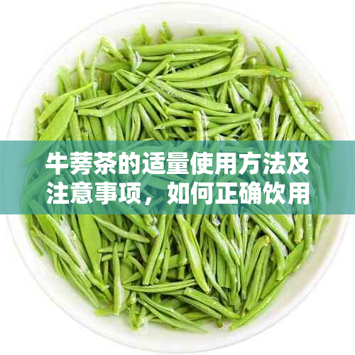 牛蒡茶的适量使用方法及注意事项，如何正确饮用牛蒡茶？