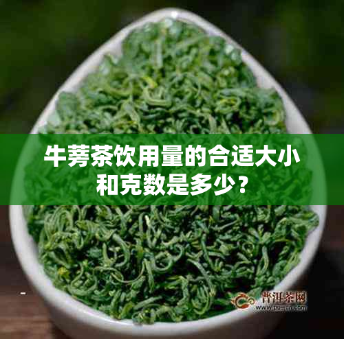 牛蒡茶饮用量的合适大小和克数是多少？