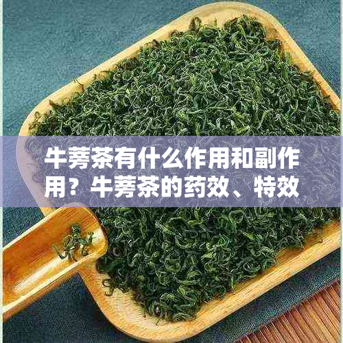 牛蒡茶有什么作用和副作用？牛蒡茶的效、特效及禁忌人群是什么？