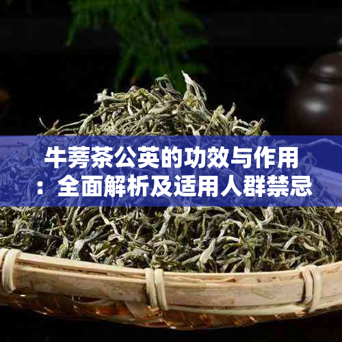 牛蒡茶公英的功效与作用：全面解析及适用人群禁忌