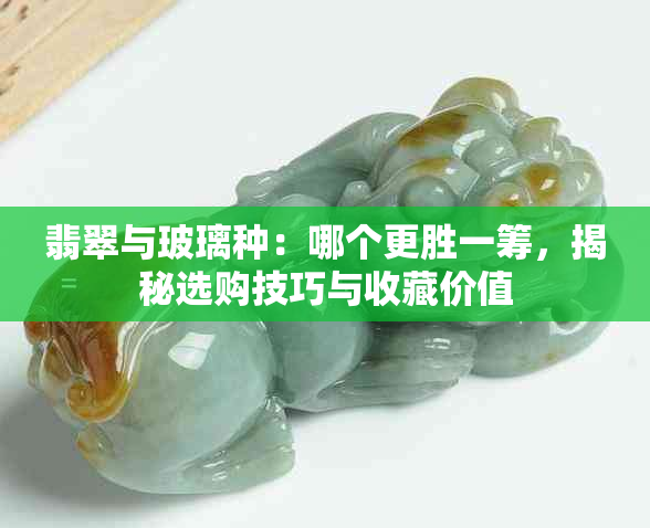 翡翠与玻璃种：哪个更胜一筹，揭秘选购技巧与收藏价值