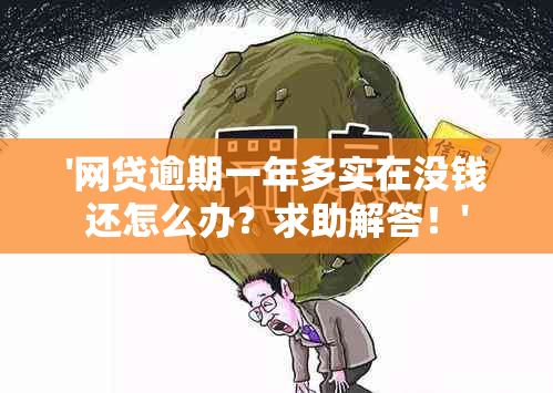 '网贷逾期一年多实在没钱还怎么办？求助解答！'