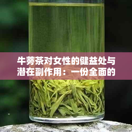 牛蒡茶对女性的健益处与潜在副作用：一份全面的分析与建议