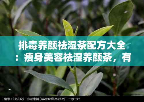 排养颜祛湿茶配方大全：瘦身美容祛湿养颜茶，有效去除体内湿气与素